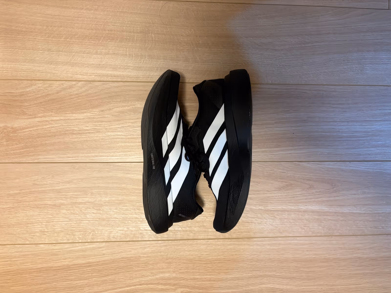 ADIZERO EVO SL。荒川河川敷で爆走していた1足